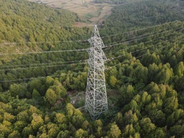 山东瑞科电气有限公司